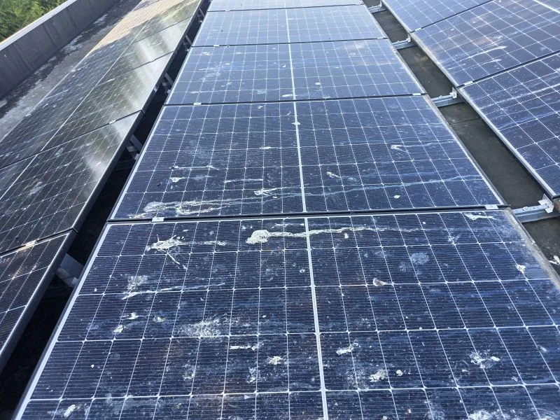 Extreme vervuiling door vogelpoep op zonnepanelen, aangetroffen bij een Scope 12 keuring